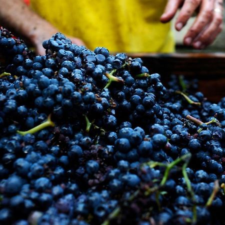 Les Gites Du Passage: Le Nid Passenans Zewnętrze zdjęcie